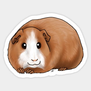 Small Mammals - American Guinea Pig - Broken Coat Sticker